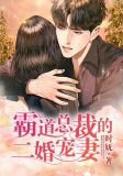 霸道总裁的二婚宠妻
